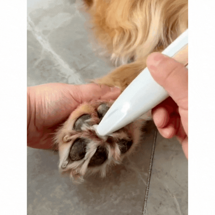 🐾 Pawfect Trim™ – Cordless Paw Groomer