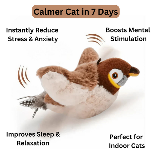 WhiskerWhirl by SwaVor