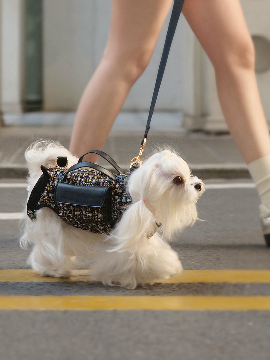Chic Parisian Dog Carrier – Small Breed Friendly