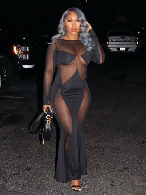 Illusionaire – Sheer Panel Bodycon Maxi Dress