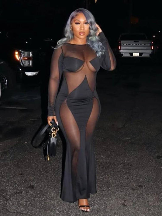 Illusionaire – Sheer Panel Bodycon Maxi Dress